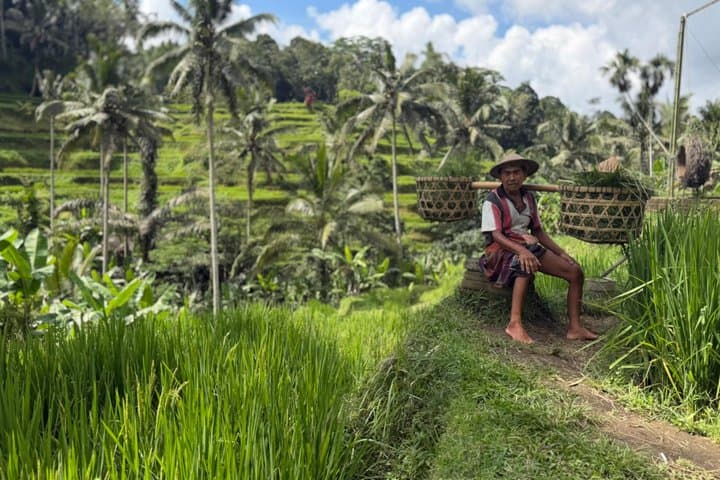 Best Full Day Of Ubud Private Guided Tour — photo 1 of 24