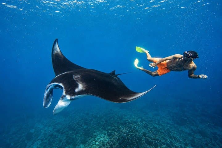 Nusa Penida Private Snorkeling and West Tour Start from Bali — photo 1 of 19