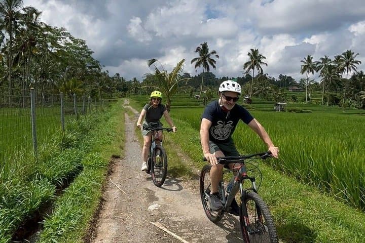 All Inclusive Private: Volcano to Ubud Downhill Cycling Tour — photo 1 of 49