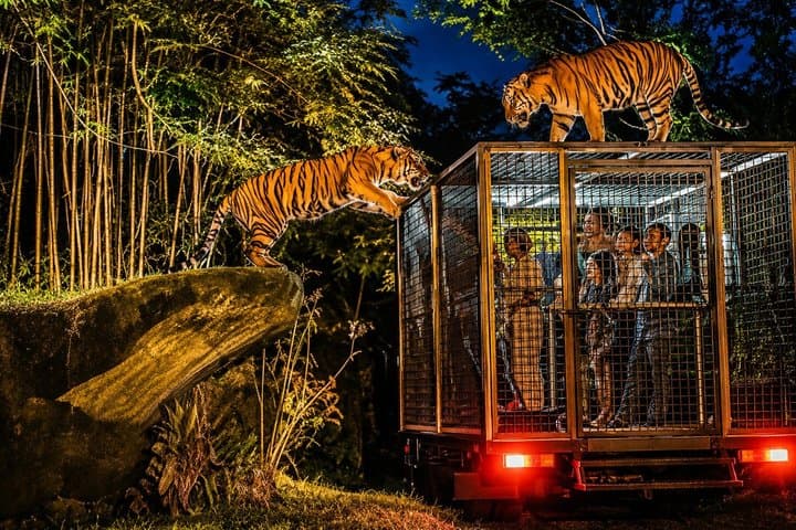 Bali Safari Journey Experience — photo 1 of 9
