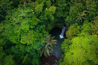 Best Bali Waterfalls All Inclusive Private Tour