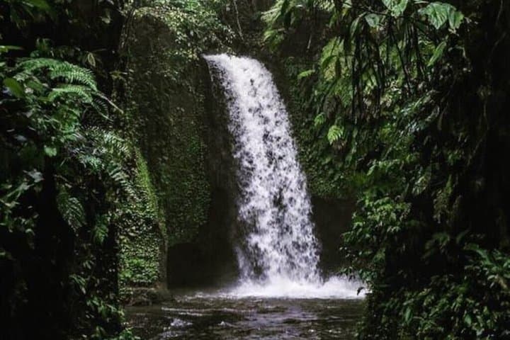 Private Waterfall Tour in Ubud with Local Highlights — photo 1 of 7