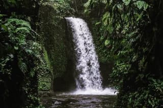 Private Waterfall Tour in Ubud with Local Highlights