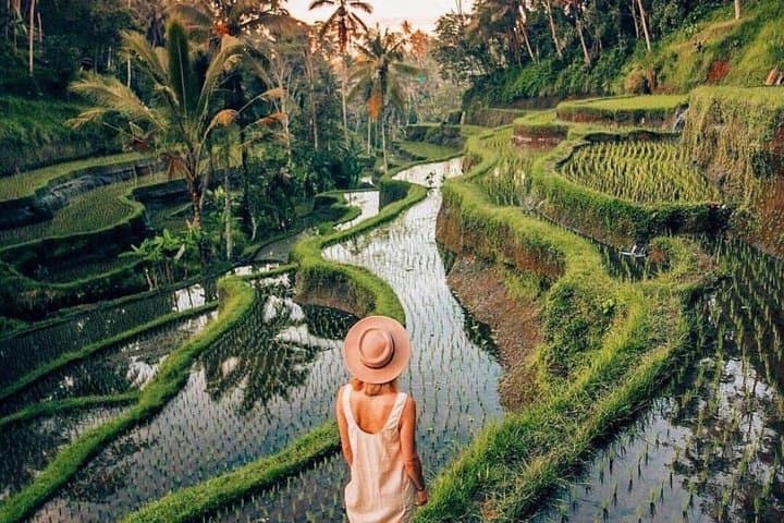 Ubud Private Custom Tour with Temples, Swing and Waterfalls — photo 1 of 23