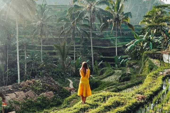 Private Ubud Cultural Best Highlights All Inclusive — photo 1 of 44