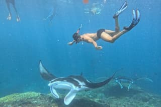 Nusa Penida Full Day Trip to West Part from Nusa Lembongan