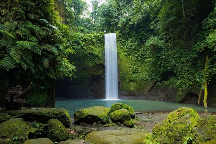 Customize Bali Private Day Tour with Local Driver — photo 1 of 32