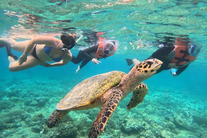 Shared Snorkeling Adventure to Menjangan Island Bali — photo 1 of 15