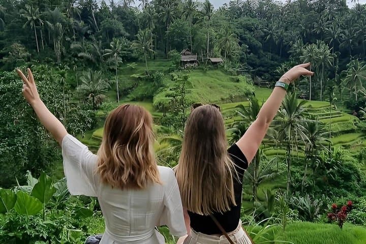Private Ubud Tour: Rice Terrace, Tirta Empul Temple and Waterfall — photo 1 of 45