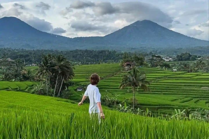 Bali Private Tour: Jatiluwih Rice Terraces, Monkey Forest & Swing — photo 1 of 36