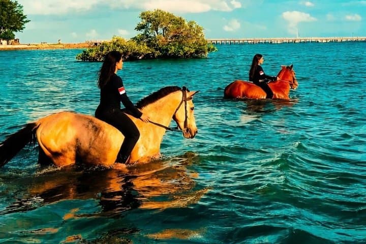 Sanur Bali Horseback Riding in the Sea at Mertasari Beach — photo 1 of 7