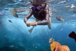 Nusa Penida Snorkeling Tour with a Guide