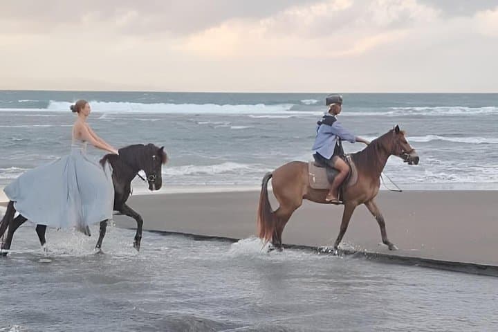 Bali Horse Riding Adventure with Hotel Transfer — photo 1 of 7
