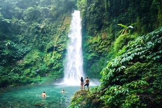 Discover The Best of Ubud: All-Inclusive and Private Guided Tour