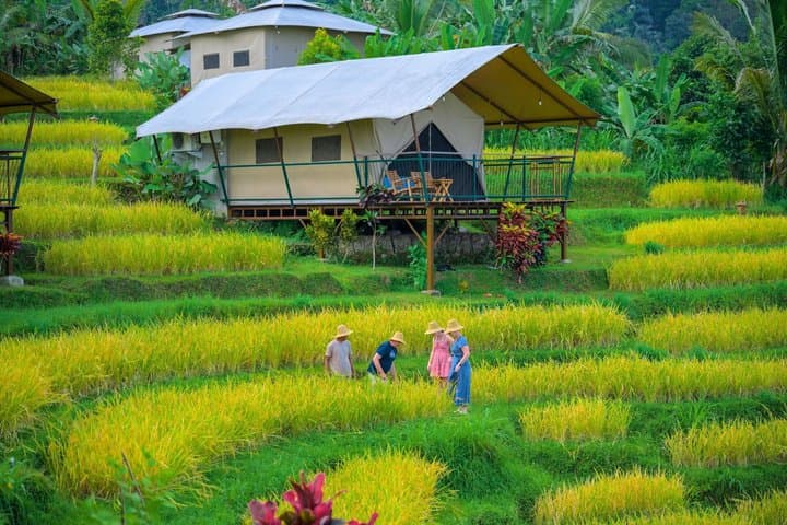 4 Day Cultural Retreat at Kaura Bali with Local Experiences — photo 1 of 34