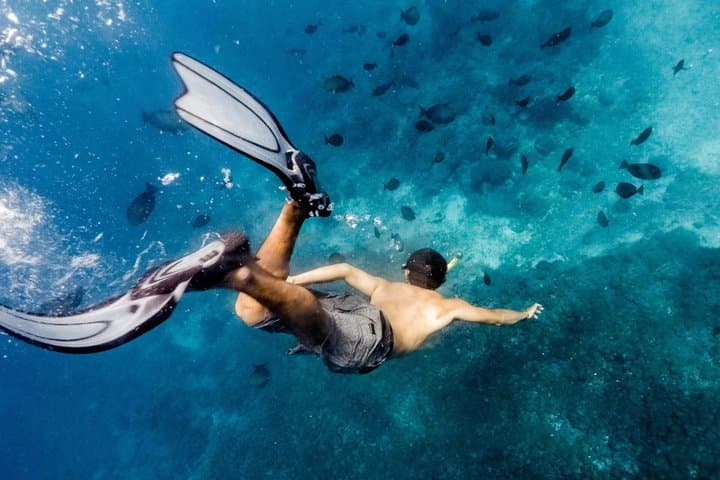 Scuba Diving and Snorkeling Tours Nusa Penida by Penidago — photo 1 of 8