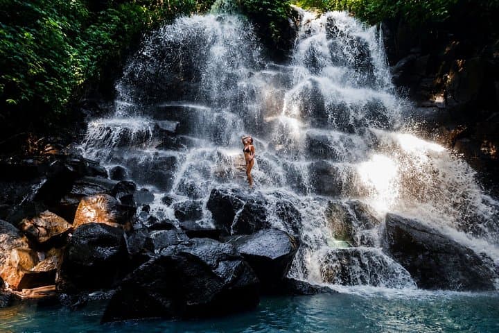Private Ubud Highlight Tour: Waterfalls, Rice Terraces and Temple — photo 1 of 25