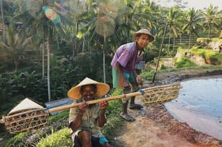 Full Day Private Tour Ubud and Kintamani - All Inclusive