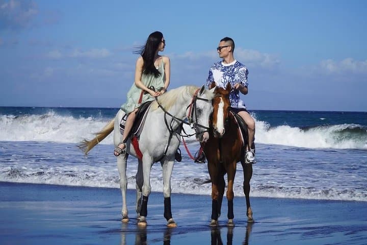Bali Horse Riding Trot or Canter Sanur Beach include Transport — photo 1 of 17