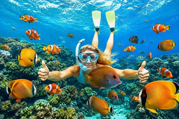 All Inclusive : Bali Blue Lagoon Snorkeling, Lunch, and Transport — photo 1 of 51