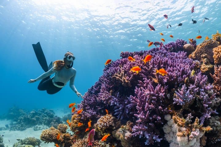 Bali Snorkeling Blue Lagoon with Underwater Camera — photo 1 of 19