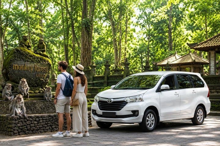 Bali : Private Car Charter with English Speaking Driver — photo 1 of 51