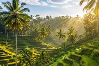 Bali Private Day Tour Customize Your Own Itinerary