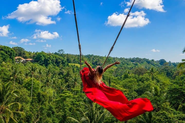 Private Tour Hidden Jungle Swing, Sangeh and Jatiluwih — photo 1 of 18
