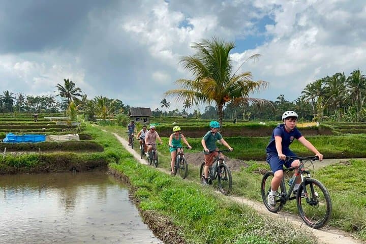 Ubud Wonderful Half Day Downhill Cycling Tour with Lunch — photo 1 of 48