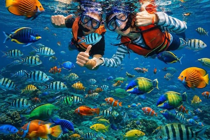 Bali Blue Lagoon Snorkeling with Lunch and Private Hotel Transfer — photo 1 of 6