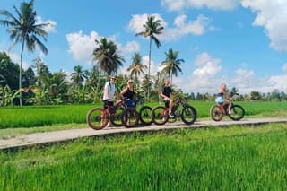 Private Fat Tire E-Bike Tour in Ubud