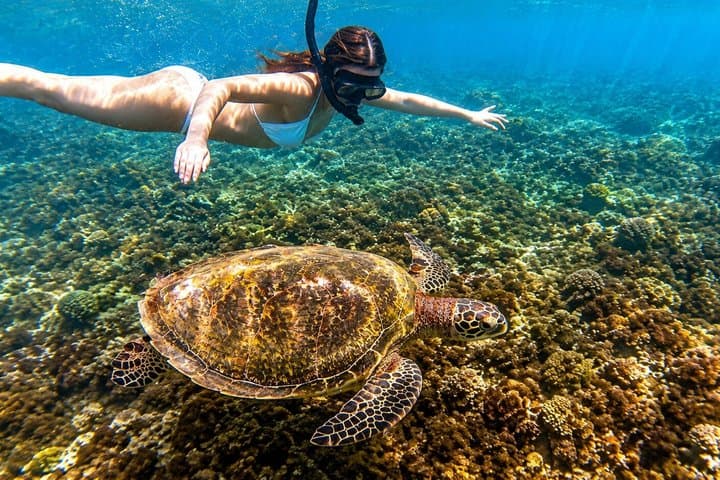 Blue Lagoon Snorkeling with Private Boat, Guide and Transfer — photo 1 of 18