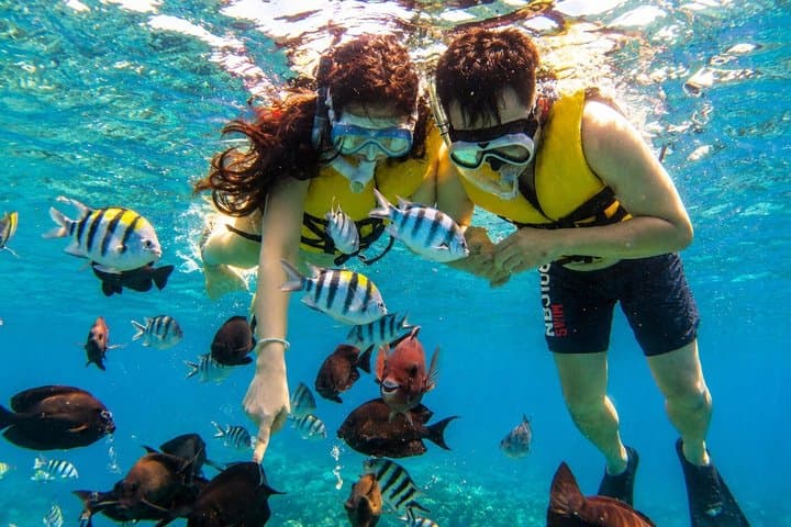 Lovina Family Adventure Dolphins, Sunrise and Snorkeling — photo 1 of 10
