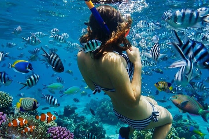 Bali Blue Lagoon Snorkeling with Lunch & Private Hotel Transfer — photo 1 of 48