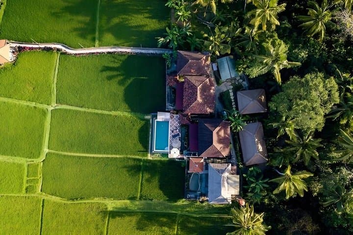7 Days Community Yoga Retreat in Ubud Bali — photo 1 of 17