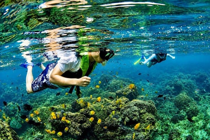 Nusa Dua Snorkeling Experience In Bali Include Transport — photo 1 of 6