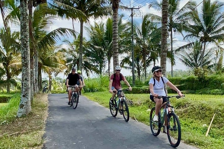 Ubud Wonderful Half Day Downhill Cycling Tour with Lunch — photo 1 of 51
