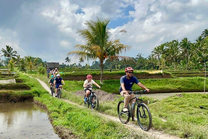 Ubud All-Inclusive Downhill Cycling Private Tour with Volcano — photo 1 of 50