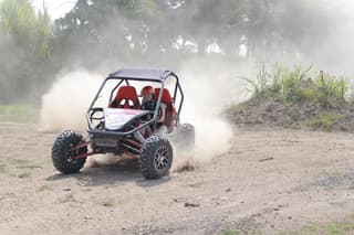 Bali: Buggy Adventure With lunch And visit coffee experience