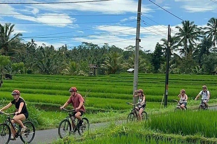 Bali Downhill Cycling Kintamani to Ubud with Private Transfer — photo 1 of 30