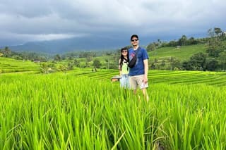 Bali Jatiluwih Rice Terraces Walking Tour And Tanah Lot Temple