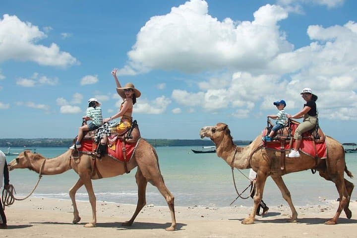 Bali Near Airport Camel Ride Experience — photo 1 of 8