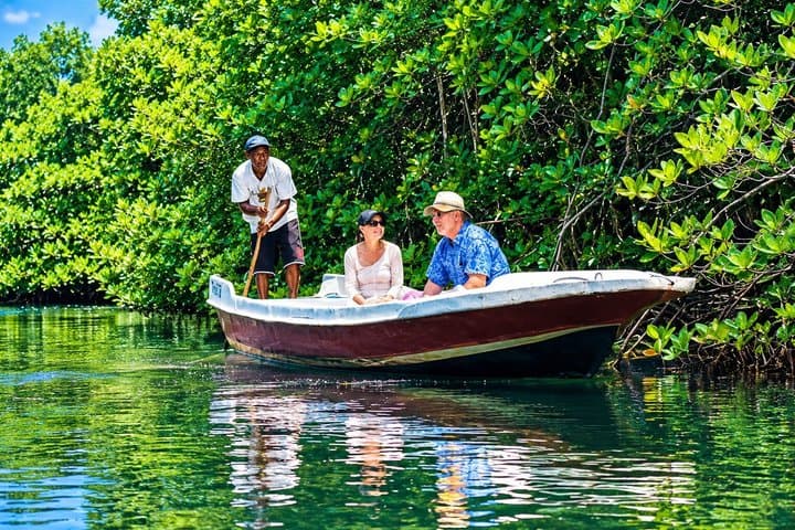 Nusa Dua Bali Mangrove Jungle Tour — photo 1 of 5