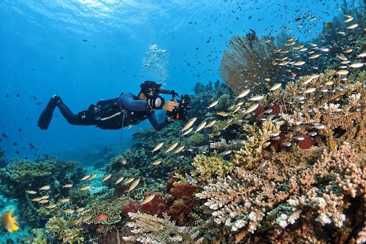 Scuba Diving Menjangan Island — photo 1 of 11