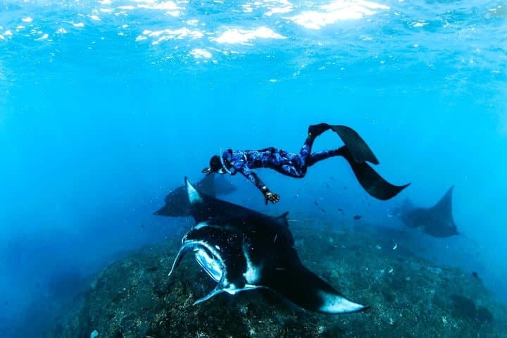 Snorkel, Swim with Mantas and Explore West Nusa Penida — photo 1 of 17