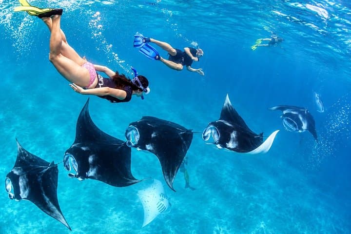 Nusa Penida Snorkeling 4 Spot; Manta,Gamat,Crystal Bay,Wall Point — photo 1 of 9