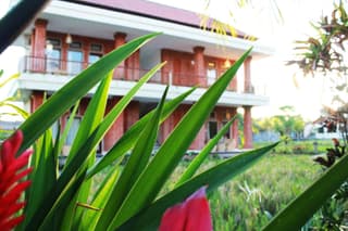Maple House