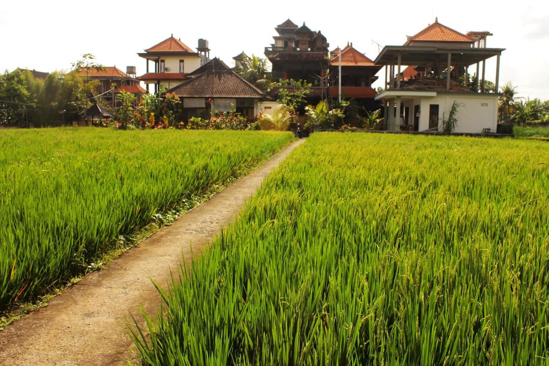 Cenik House Ubud — photo 1 of 1