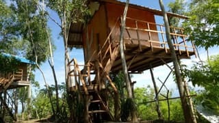 Rumah Pohon