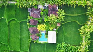 Hati Padi Cottages